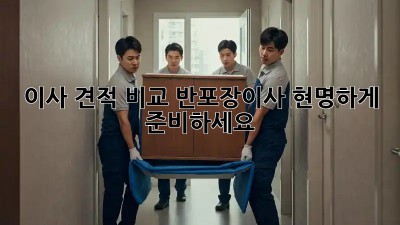 이사 견적 비교: 반포장이사, 현명하게 준비하세요!
