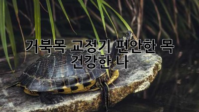 거북목 교정기: 편안한 목, 건강한 나